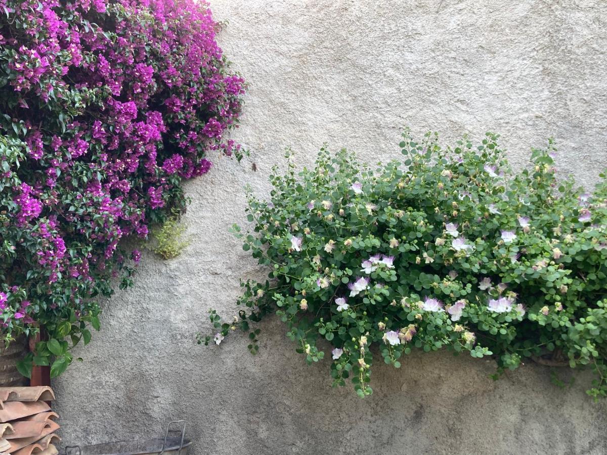 L'Antico Borgo Bed and Breakfast Milazzo Eksteriør billede