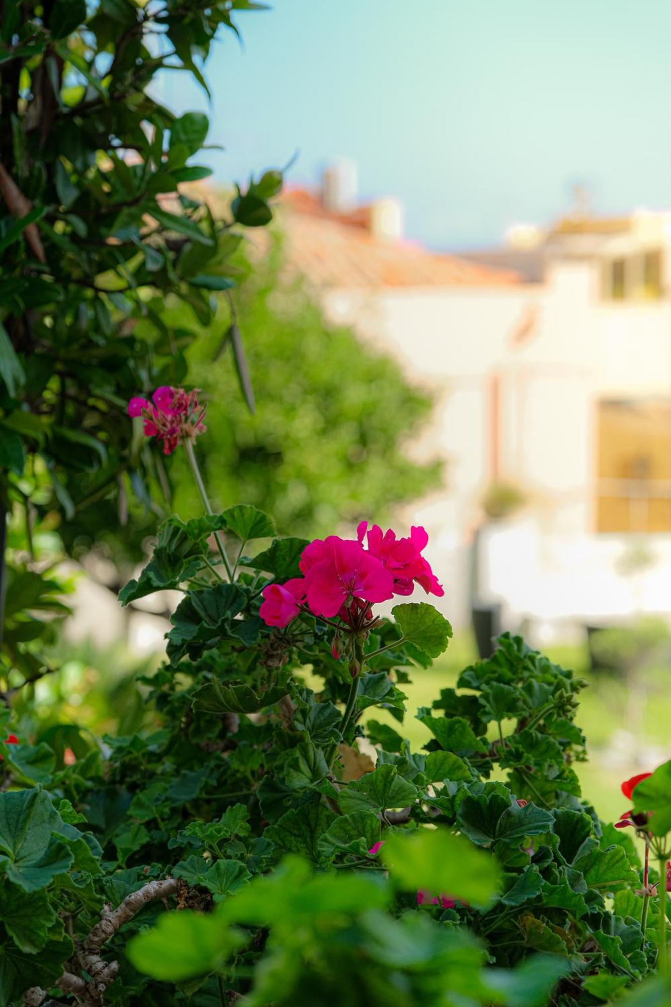 L'Antico Borgo Bed and Breakfast Milazzo Eksteriør billede